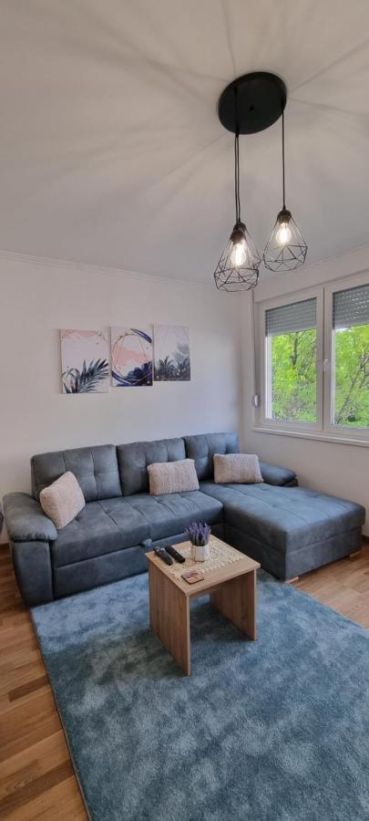 Apartman Visnja Subotica Bagian luar foto